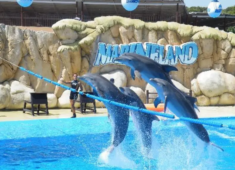 marineland