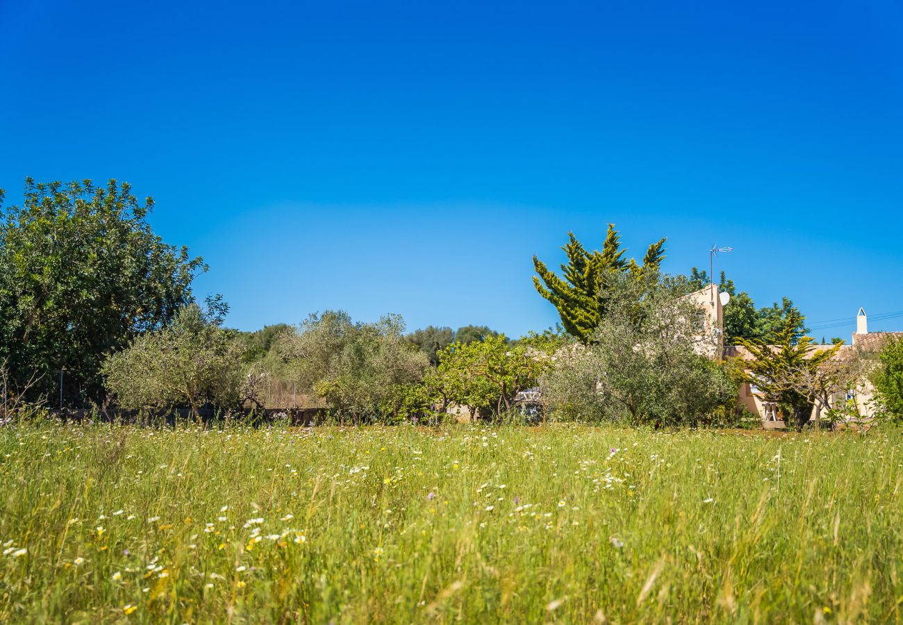 Finca in Capdepera - Ferienhäuser mit Privat Pool Es Baladre auf Mallorca