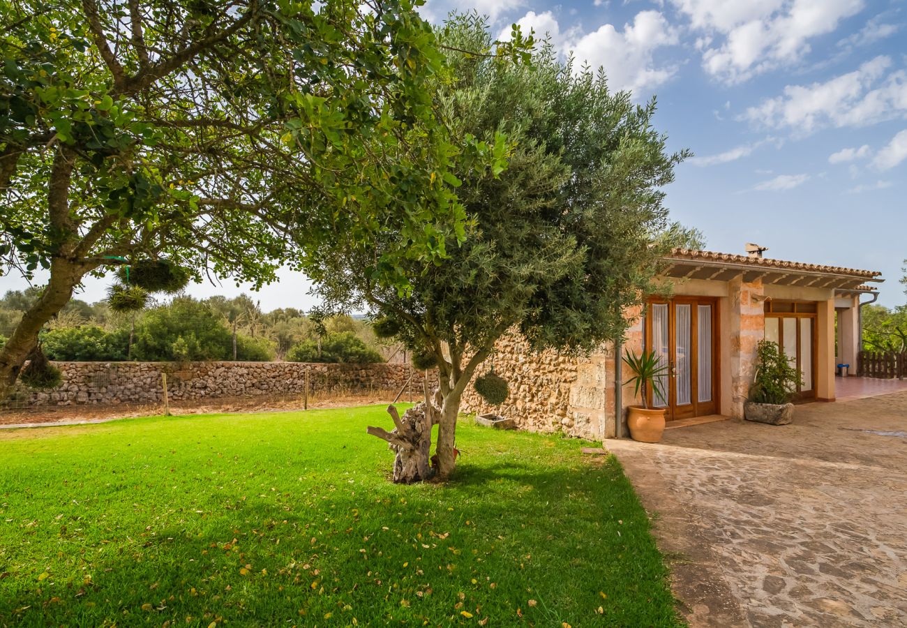 Finca in Santa Margalida - Haus in Santa Margarita Sa Rota mit Pool