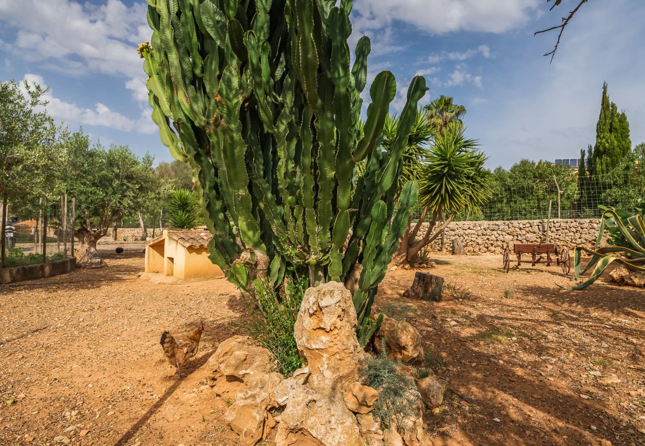 Finca in Santa Margalida - Haus in Santa Margarita Sa Rota mit Pool