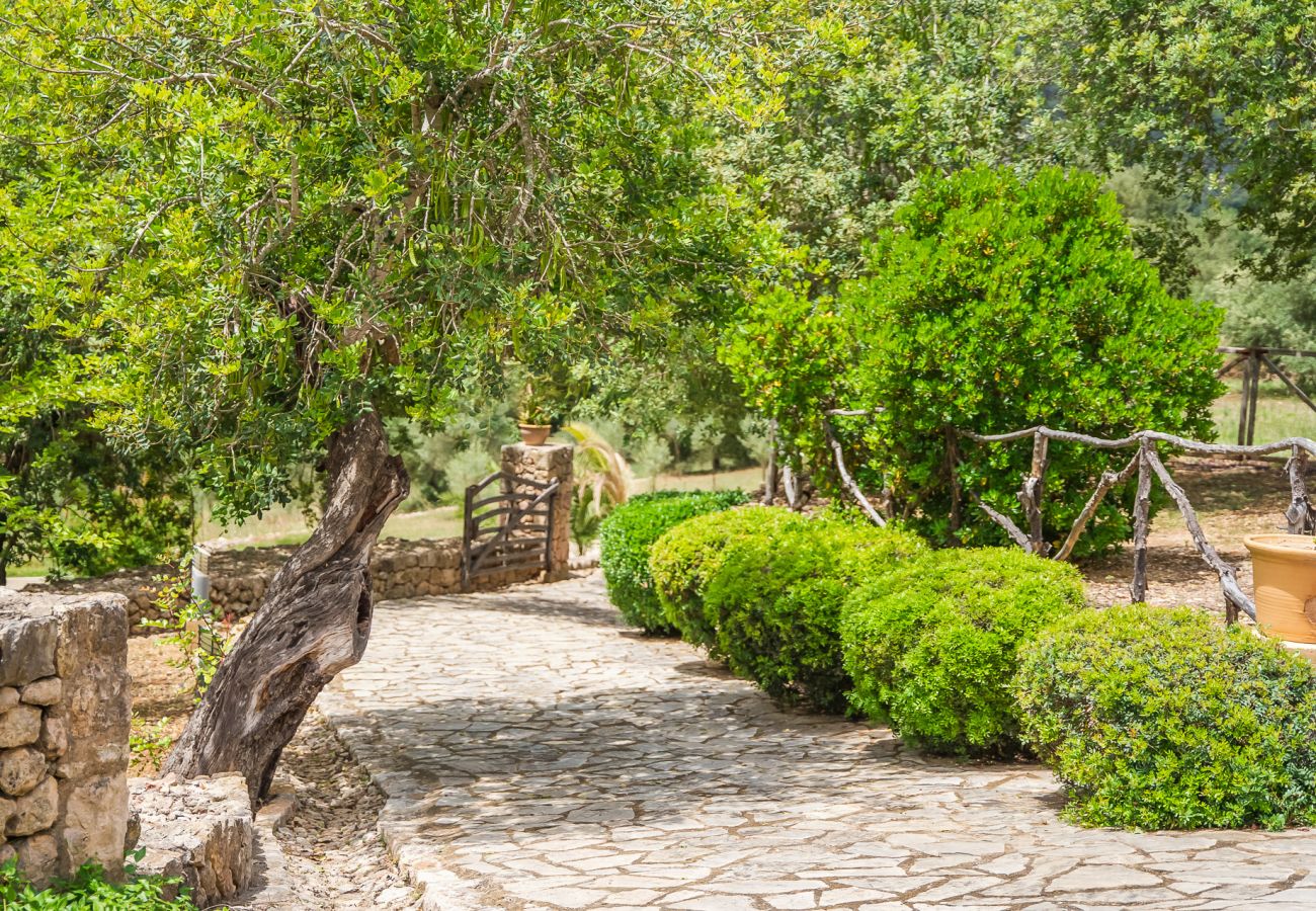 Ferienhaus in Campanet - Finca Es Pont mit Schwimmbad im Mallorca