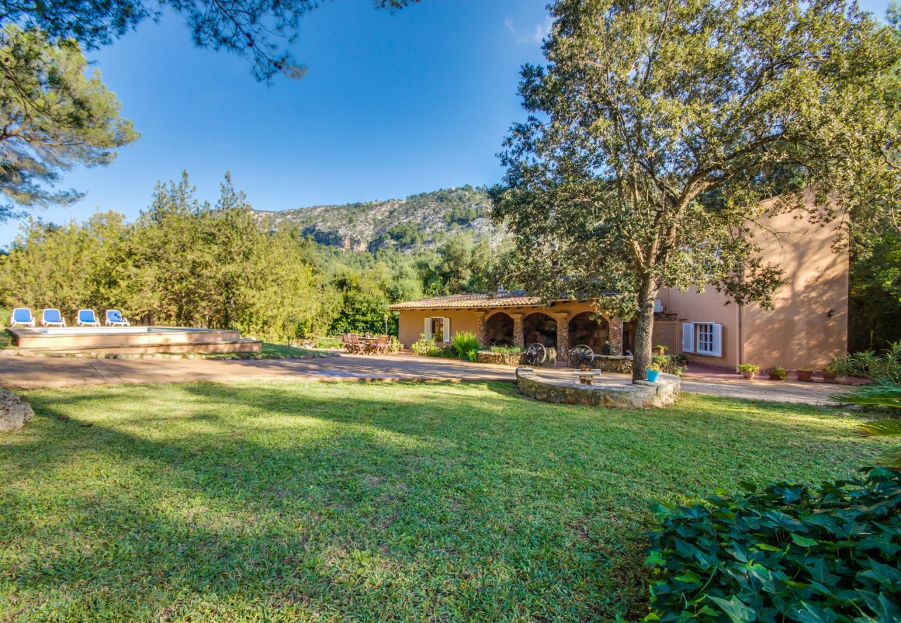 Finca in Sa Pobla - Haus in Mallorca Esteban mit privatem Pool 