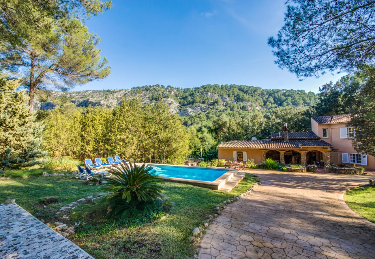 Finca in Sa Pobla - Haus in Mallorca Esteban mit privatem Pool 