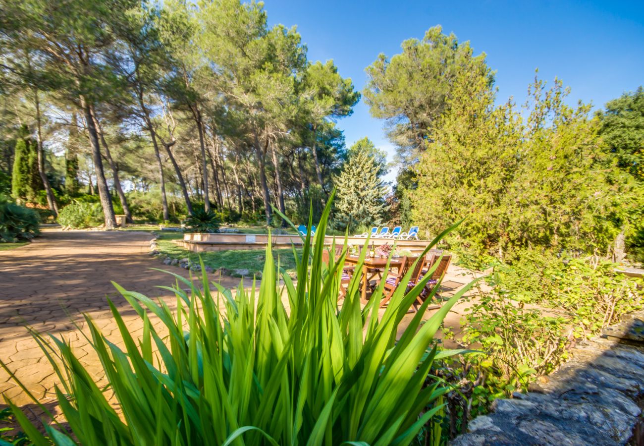 Finca in Sa Pobla - Haus in Mallorca Esteban mit privatem Pool 