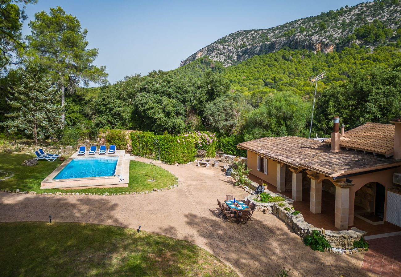 Finca in Sa Pobla - Haus in Mallorca Esteban mit privatem Pool 