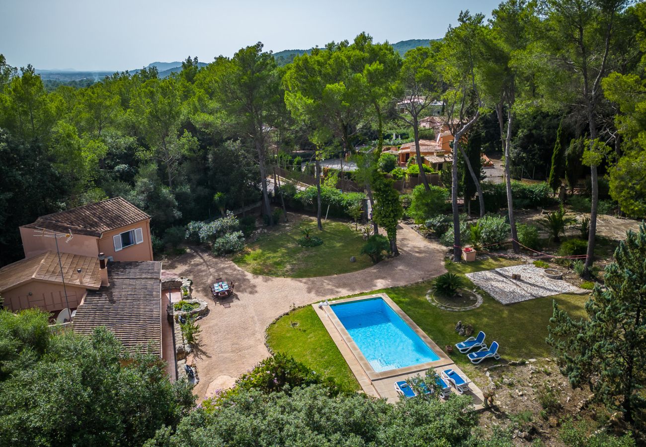 Finca in Sa Pobla - Haus in Mallorca Esteban mit privatem Pool 