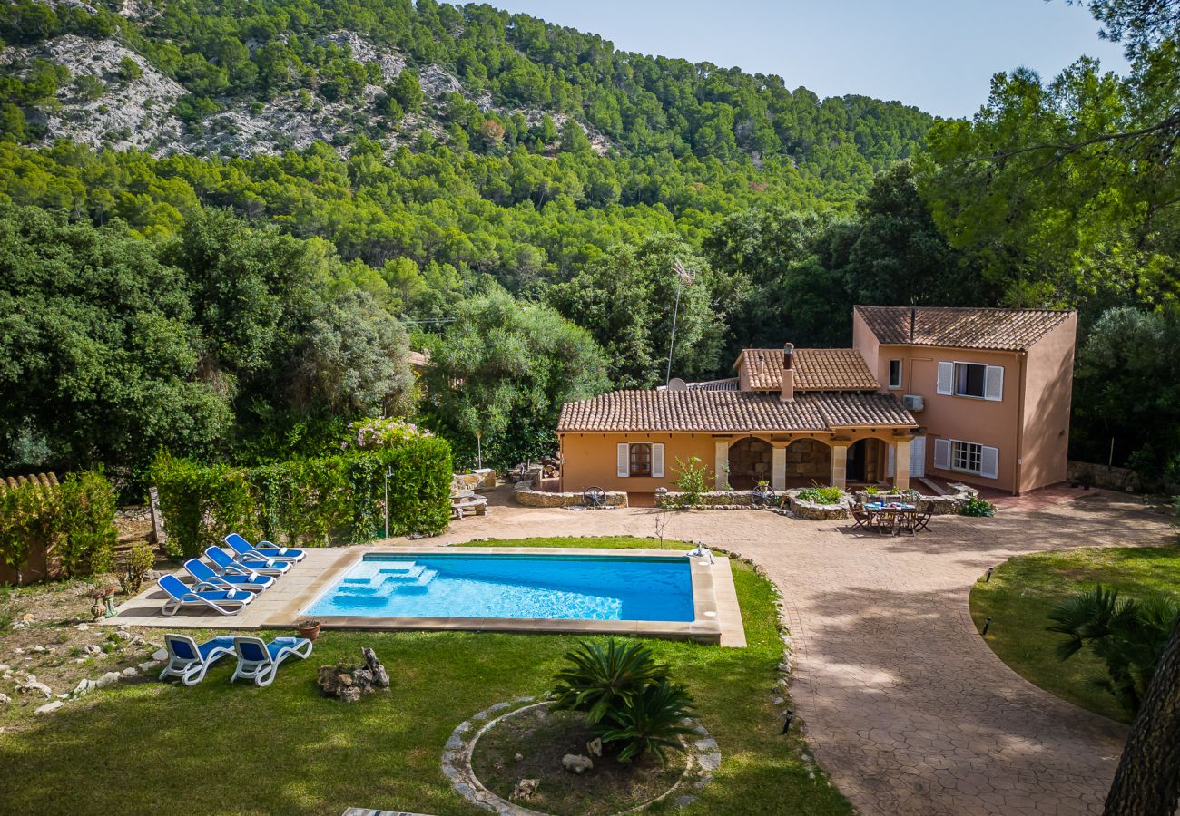 Finca in Sa Pobla - Haus in Mallorca Esteban mit privatem Pool 