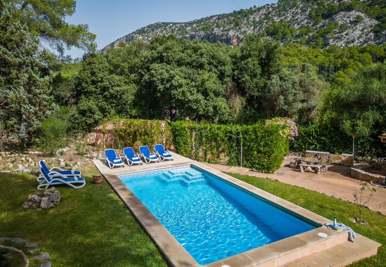 Finca in Sa Pobla - Haus in Mallorca Esteban mit privatem Pool 