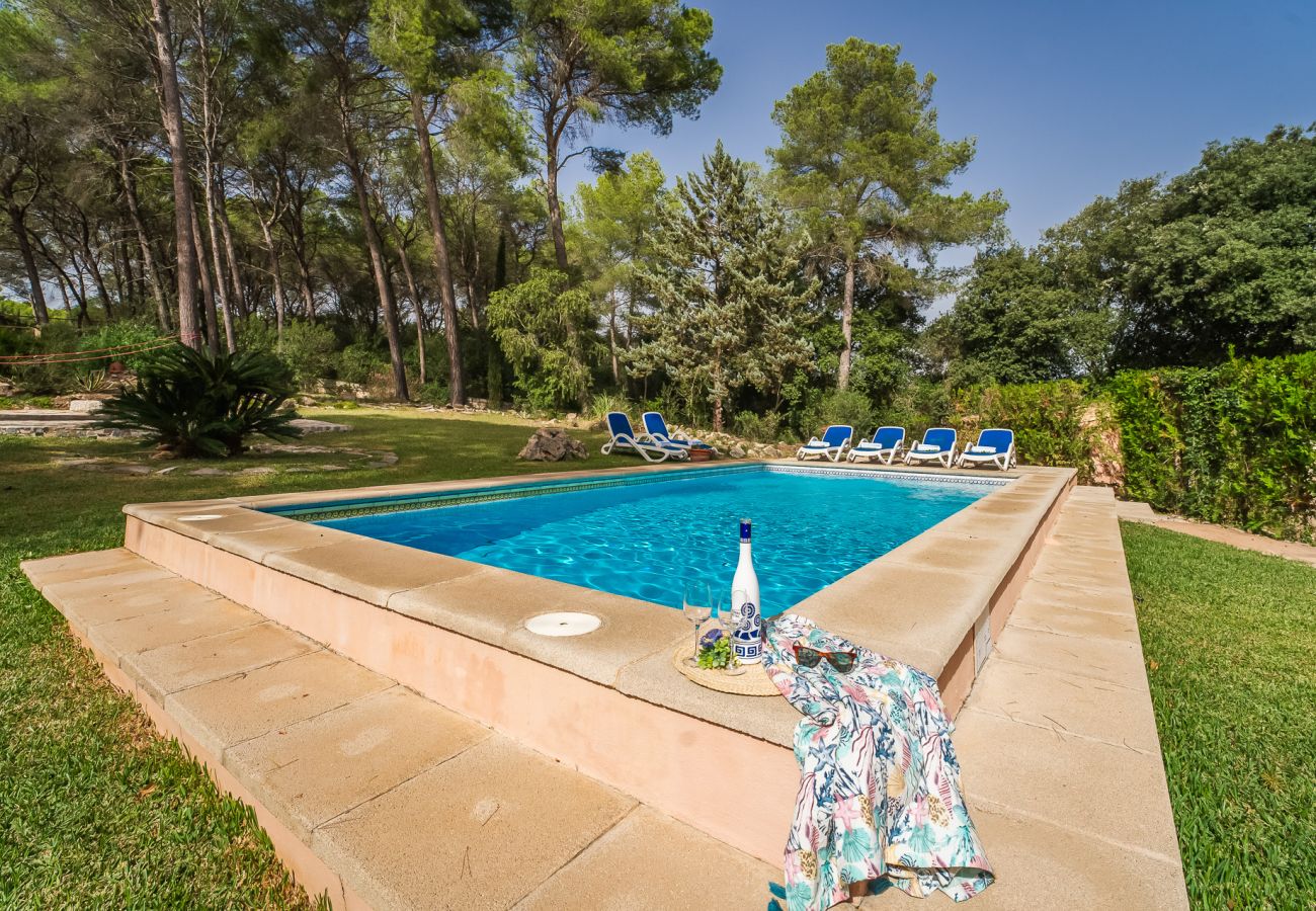 Finca in Sa Pobla - Haus in Mallorca Esteban mit privatem Pool 