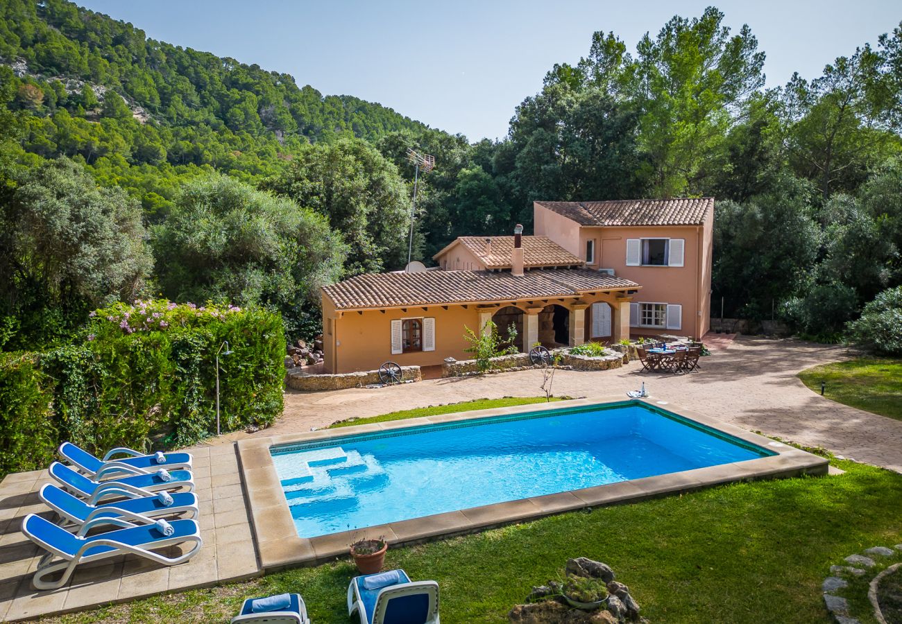 Finca in Sa Pobla - Haus in Mallorca Esteban mit privatem Pool 