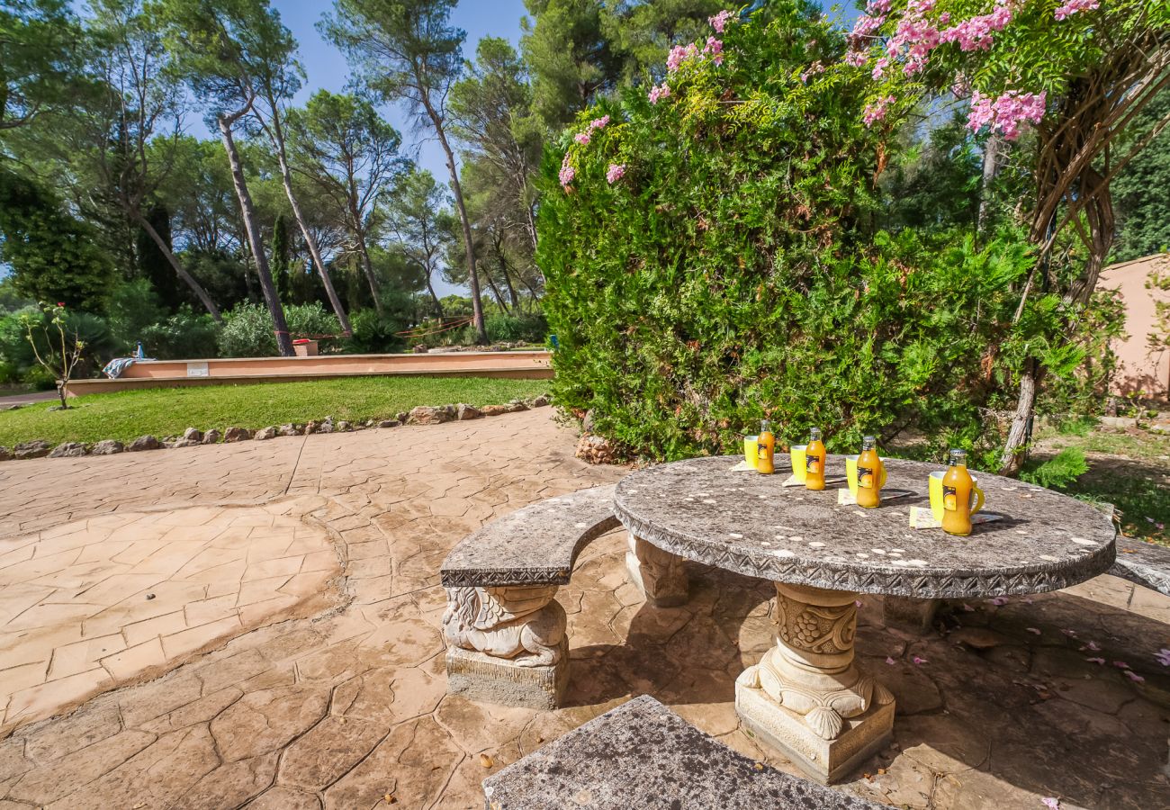 Finca in Sa Pobla - Haus in Mallorca Esteban mit privatem Pool 