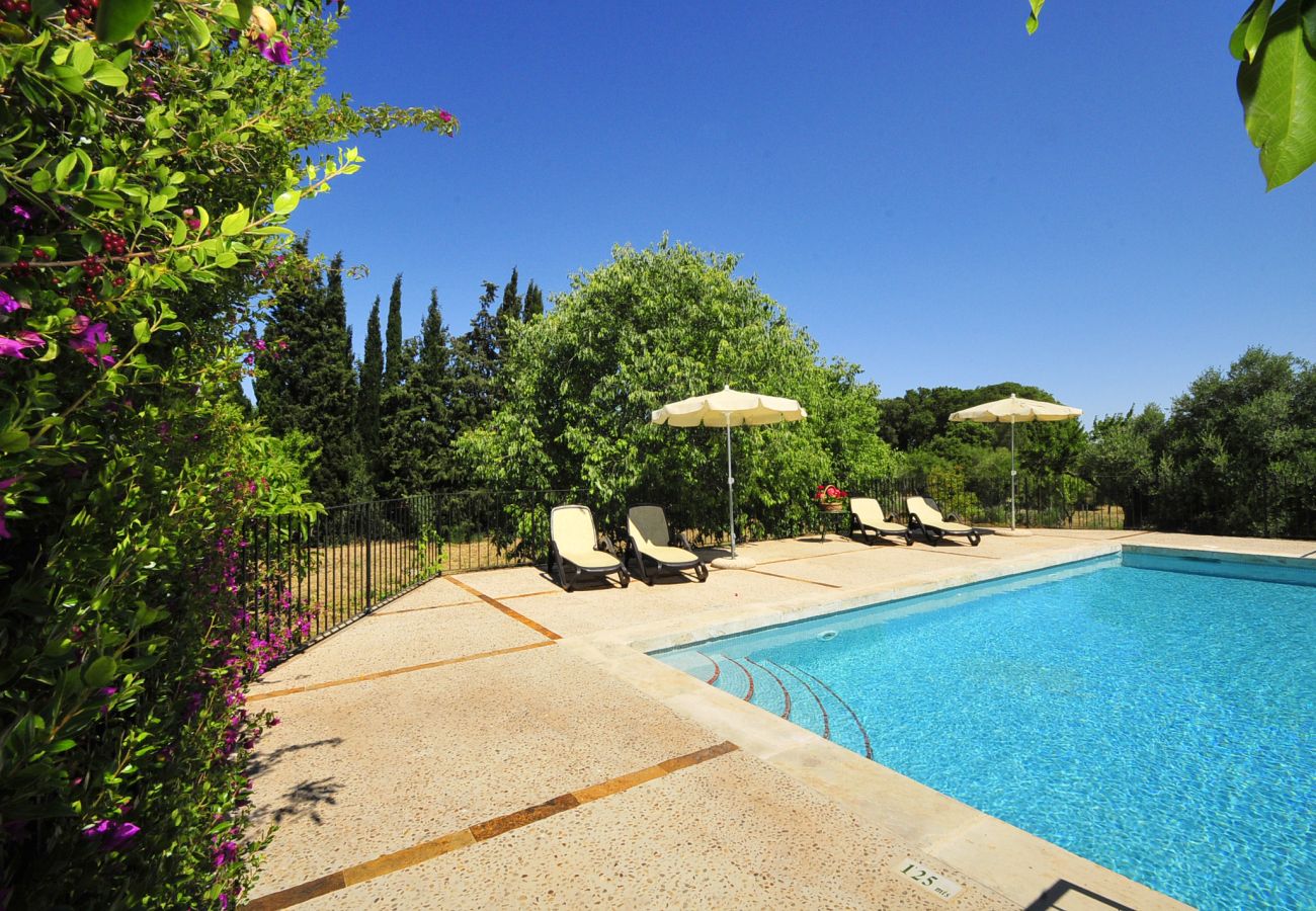 Finca in Buger - Rustikale Finca mit Pool Cas Mut in Mallorca