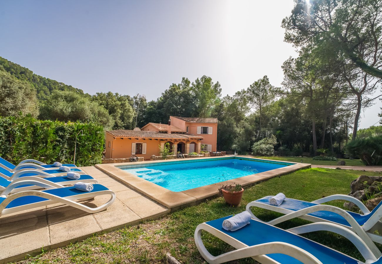 Finca en Sa Pobla - Casa en Mallorca Esteban con piscina privada 