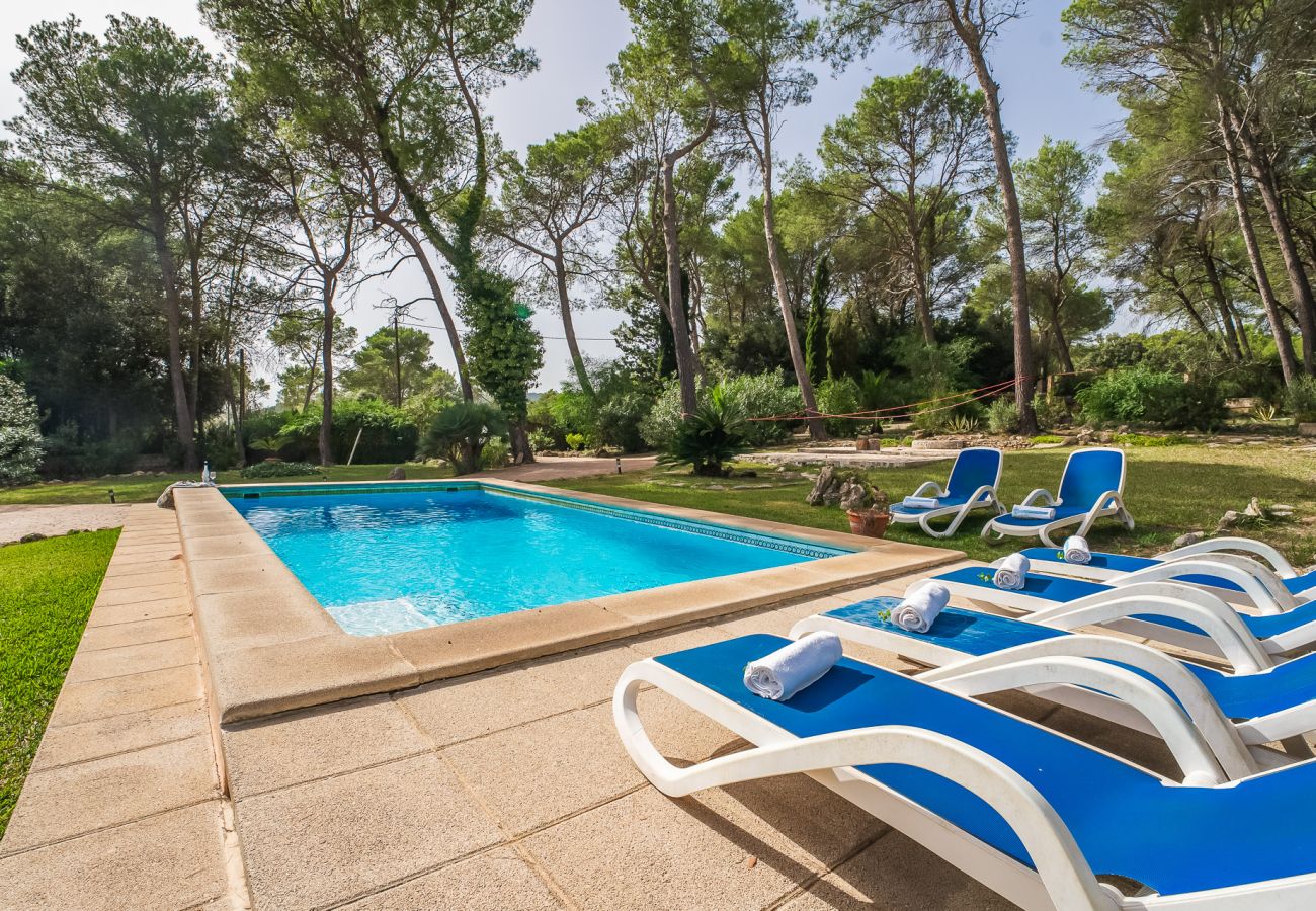 Finca en Sa Pobla - Casa en Mallorca Esteban con piscina privada 