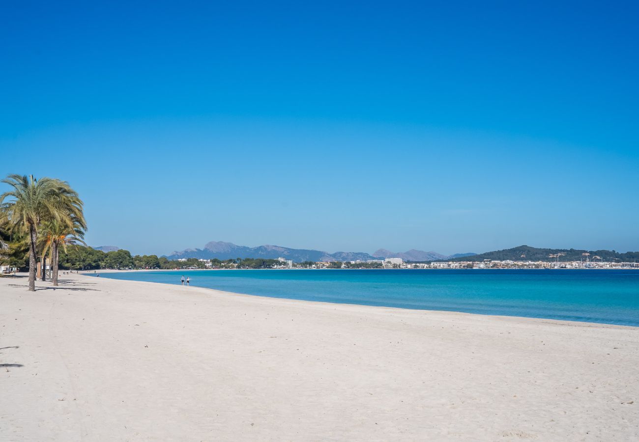 Apartamento en Puerto de Alcudia - Apartamento Dali 127 en la playa de Alcudia