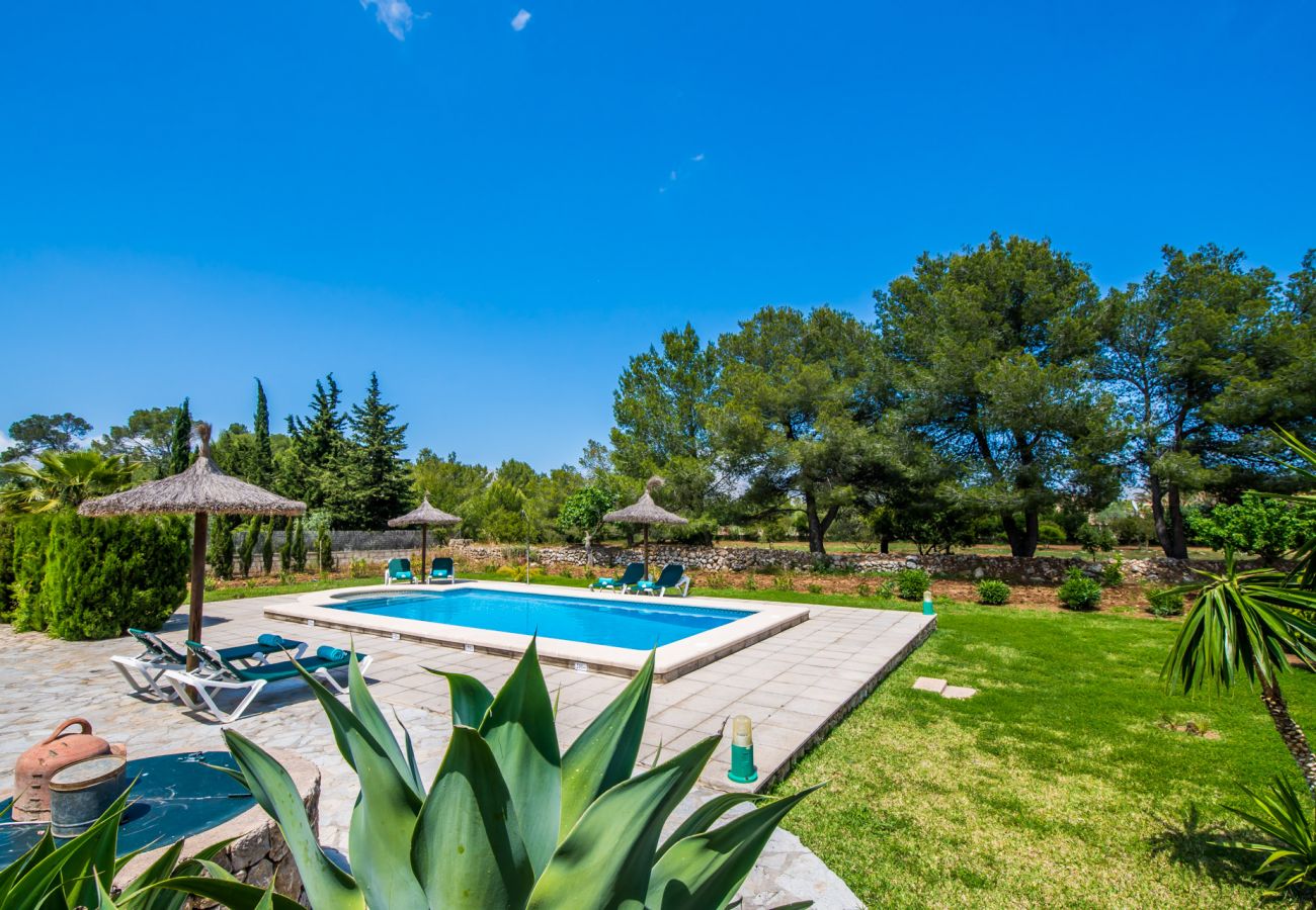 Domaine à Pollensa - Finca majorquine La Caseta à Pollensa avec piscine.