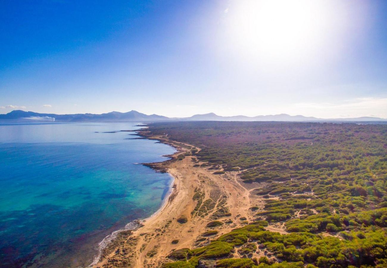 Appartement à Sa Rapita - Appartement proche de la mer avec piscine Blau Mari à Majorque