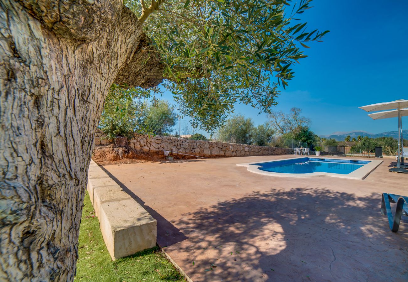 Domaine à Sencelles -  Finca à Majorque Can Brivo avec piscine