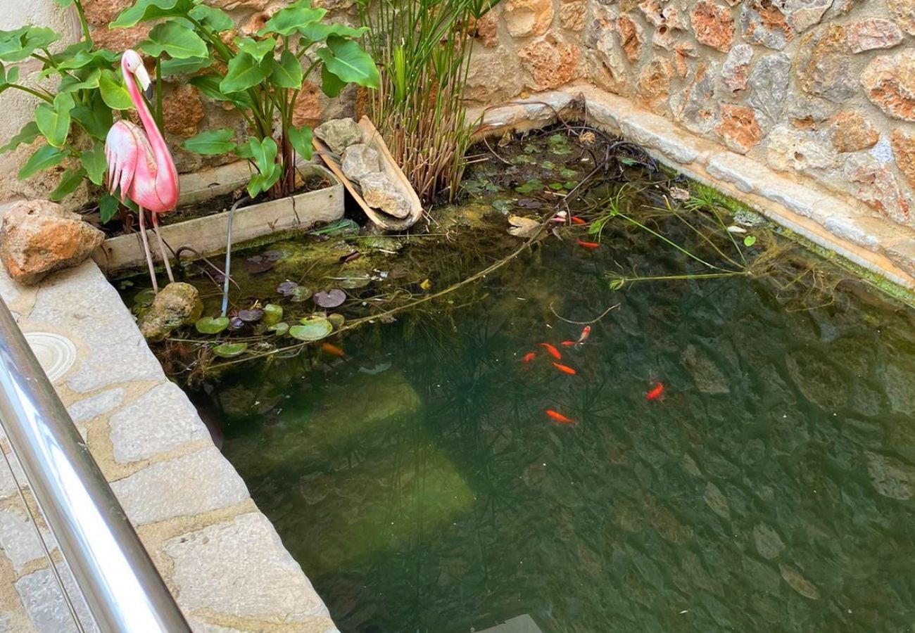 Maison à Sa Pobla - Maison rustique Cal Tio avec piscine à Majorque