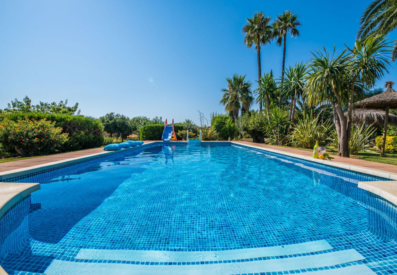 Domaine à Santa Margalida - Finca majorquine Coscois avec piscine à Majorque.