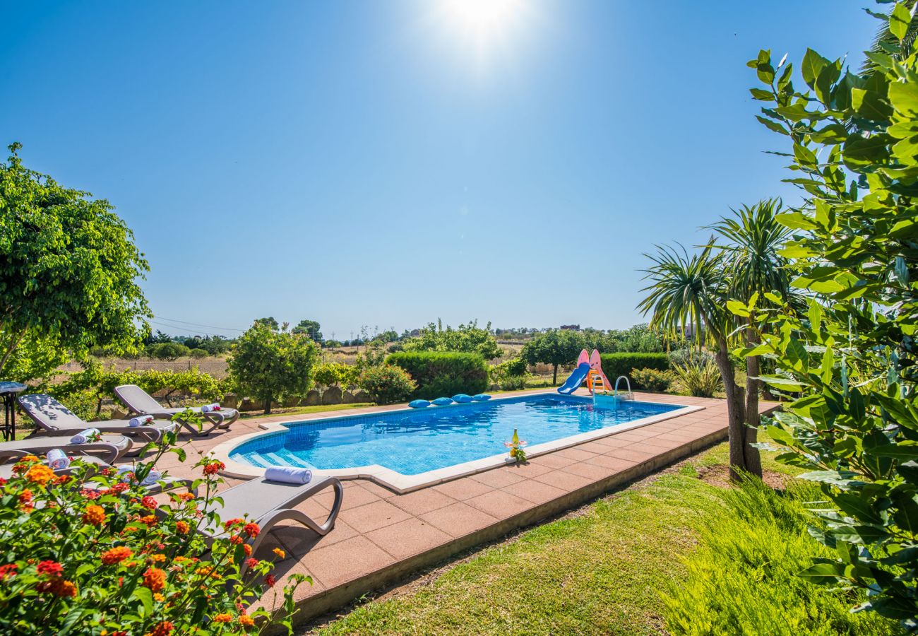 Maison de vacances en pleine nature avec piscine