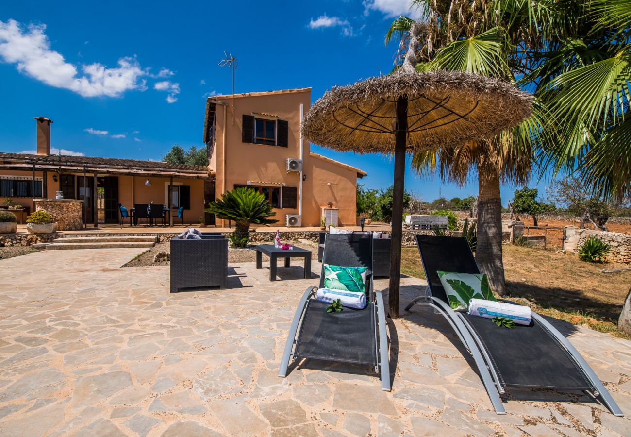 Domaine à Santa Margalida - Finca rurale à Majorque Can Frit avec piscine.