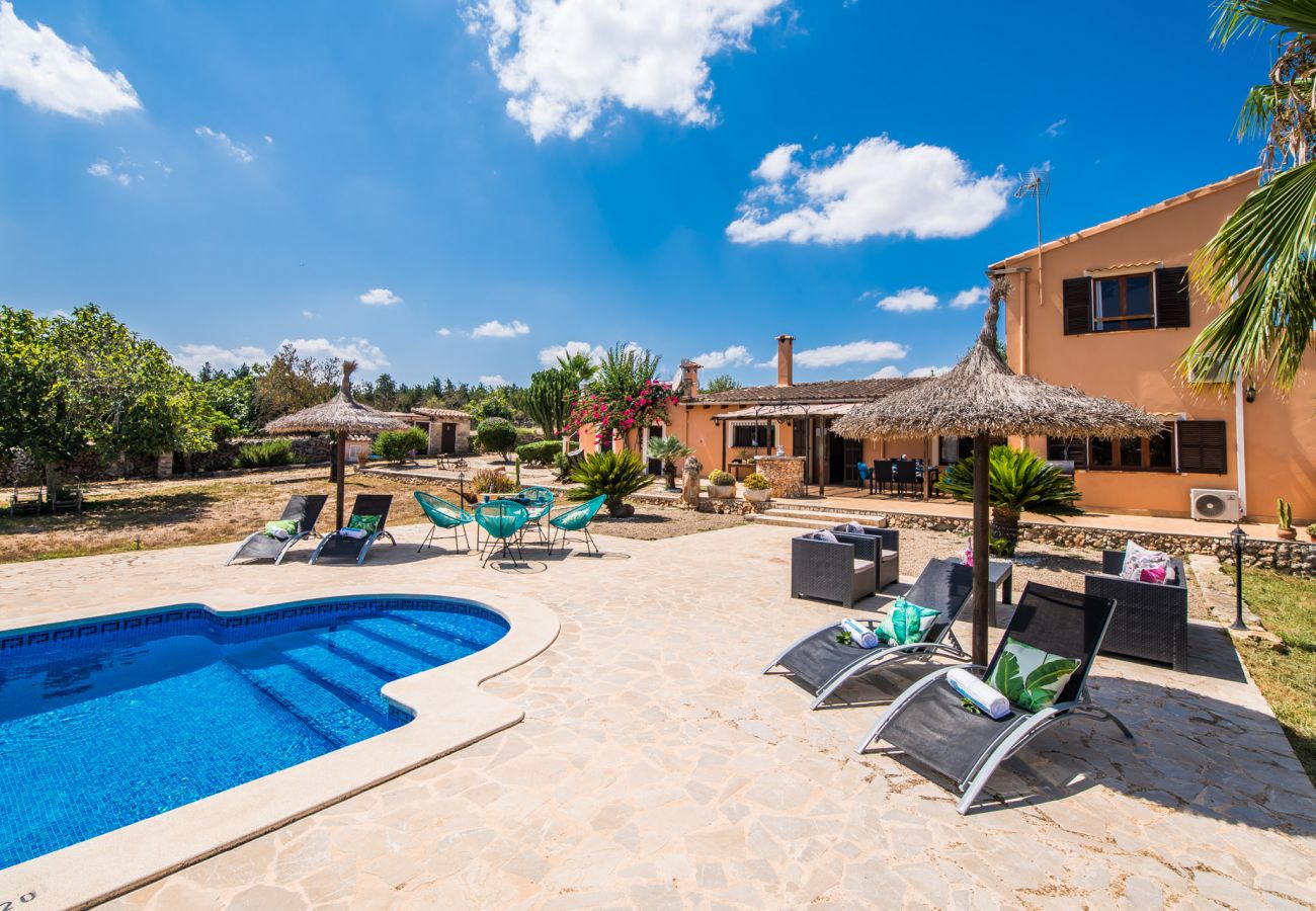 Domaine à Santa Margalida - Finca rurale à Majorque Can Frit avec piscine.