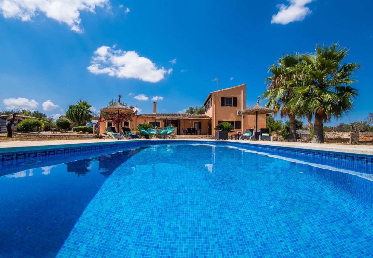 Domaine à Santa Margalida - Finca rurale à Majorque Can Frit avec piscine.