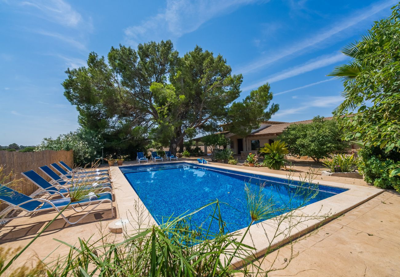 Grande finca rurale avec piscine à Can Picafort