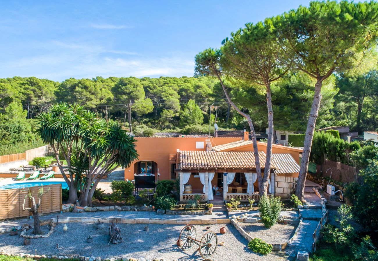 Domaine à Cala Mesquida - Vacances finca Can Sito avec piscine