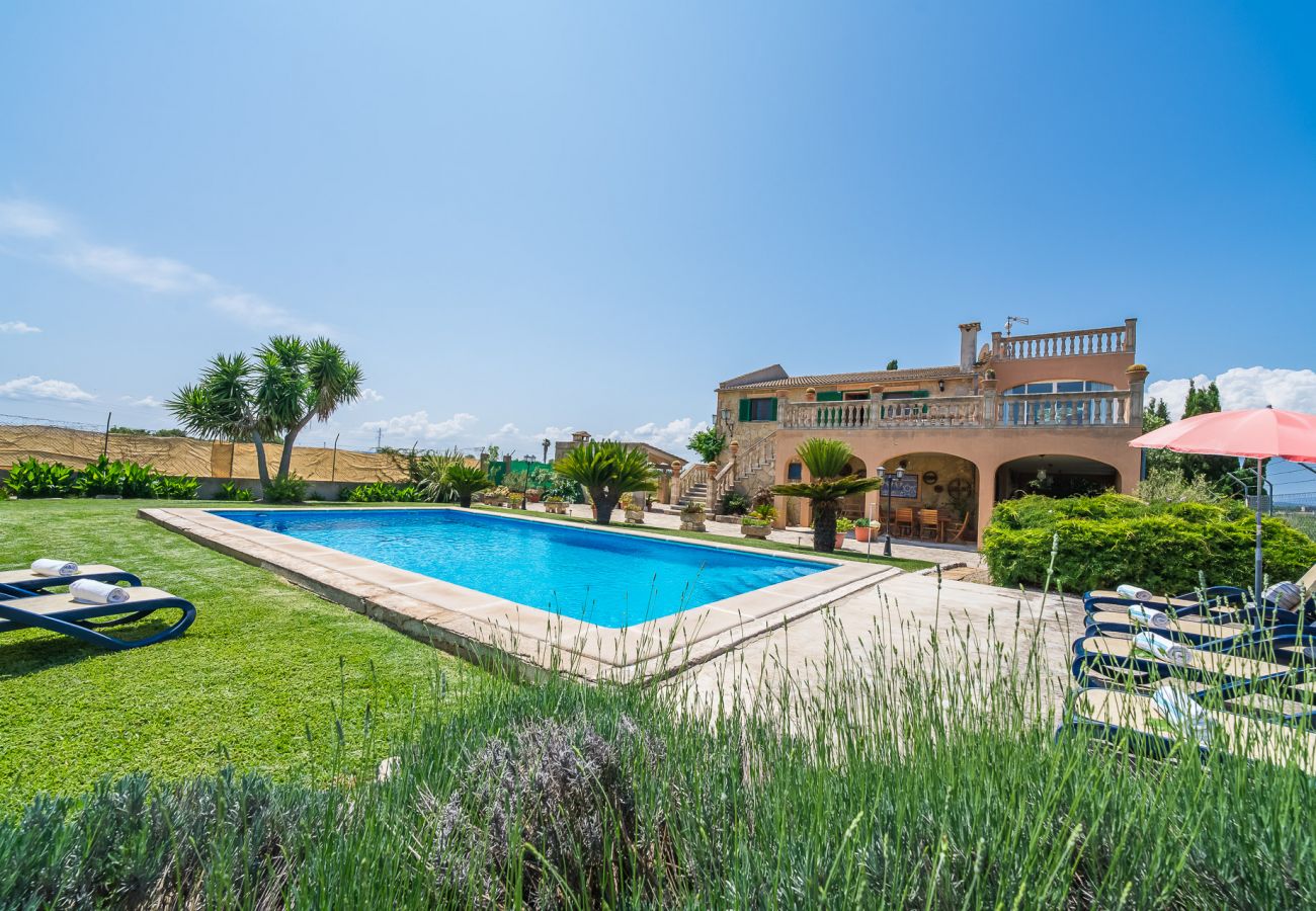 Domaine à Sa Pobla - Finca rurale à Majorque Gomila avec piscine