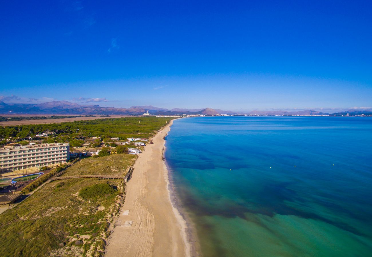 Appartement à Can Picafort - Appartement Castello Playa avec vue sur la mer à Can Picafort