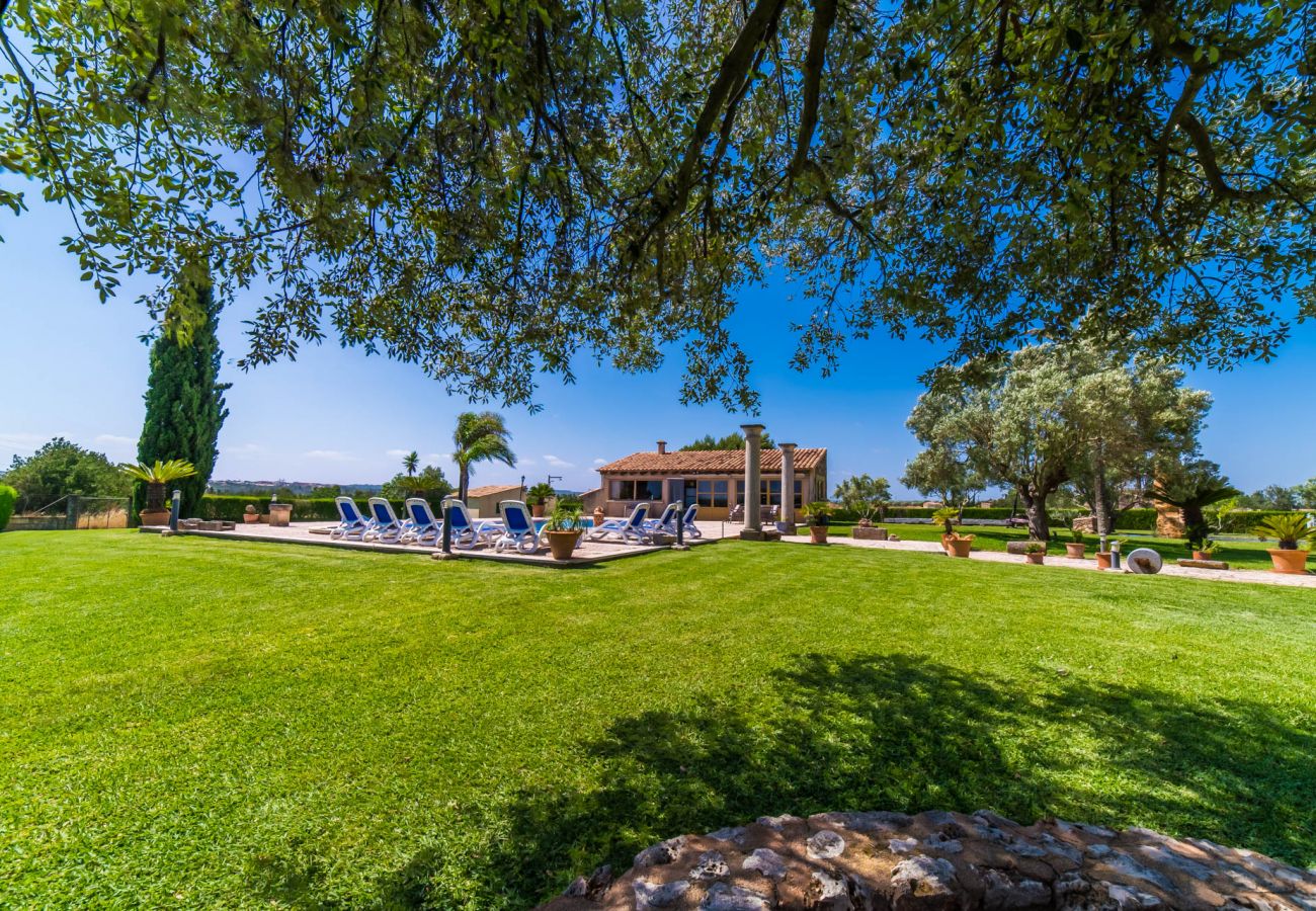 Maison à Sa Pobla - Finca rustique à Majorque Can Colis avec piscine