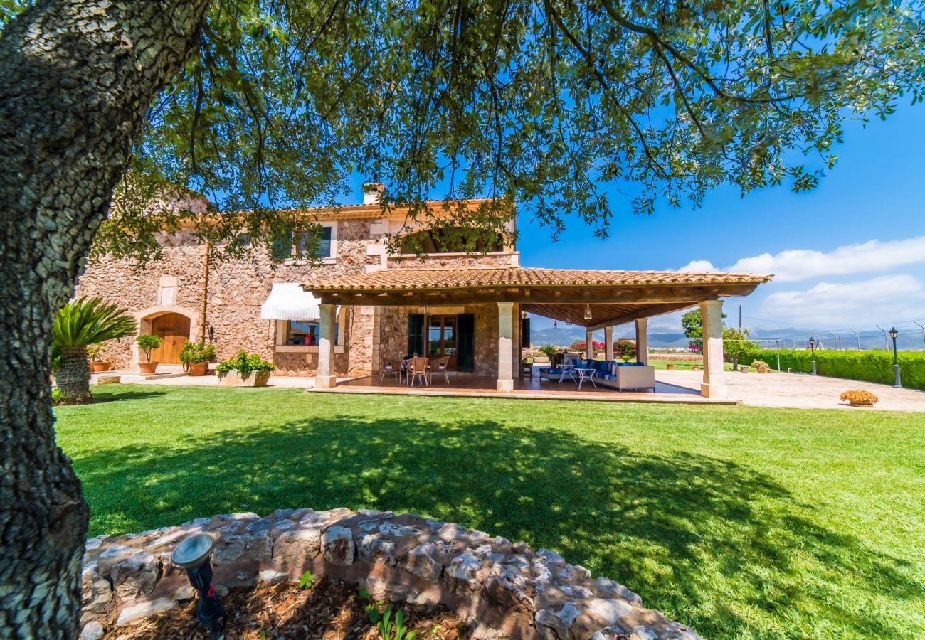 Maison à Sa Pobla - Finca rustique à Majorque Can Colis avec piscine