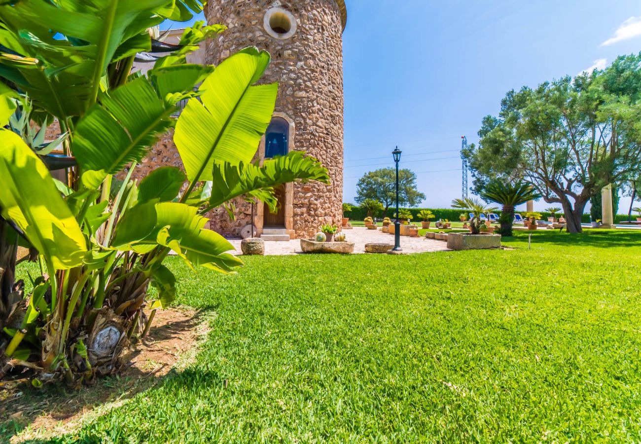 Maison à Sa Pobla - Finca rustique à Majorque Can Colis avec piscine