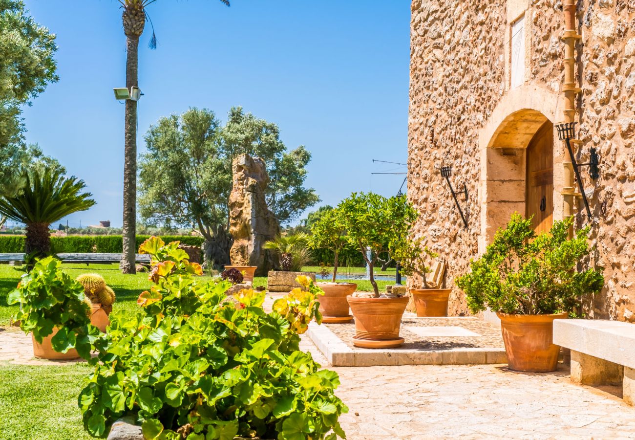 Maison à Sa Pobla - Finca rustique à Majorque Can Colis avec piscine