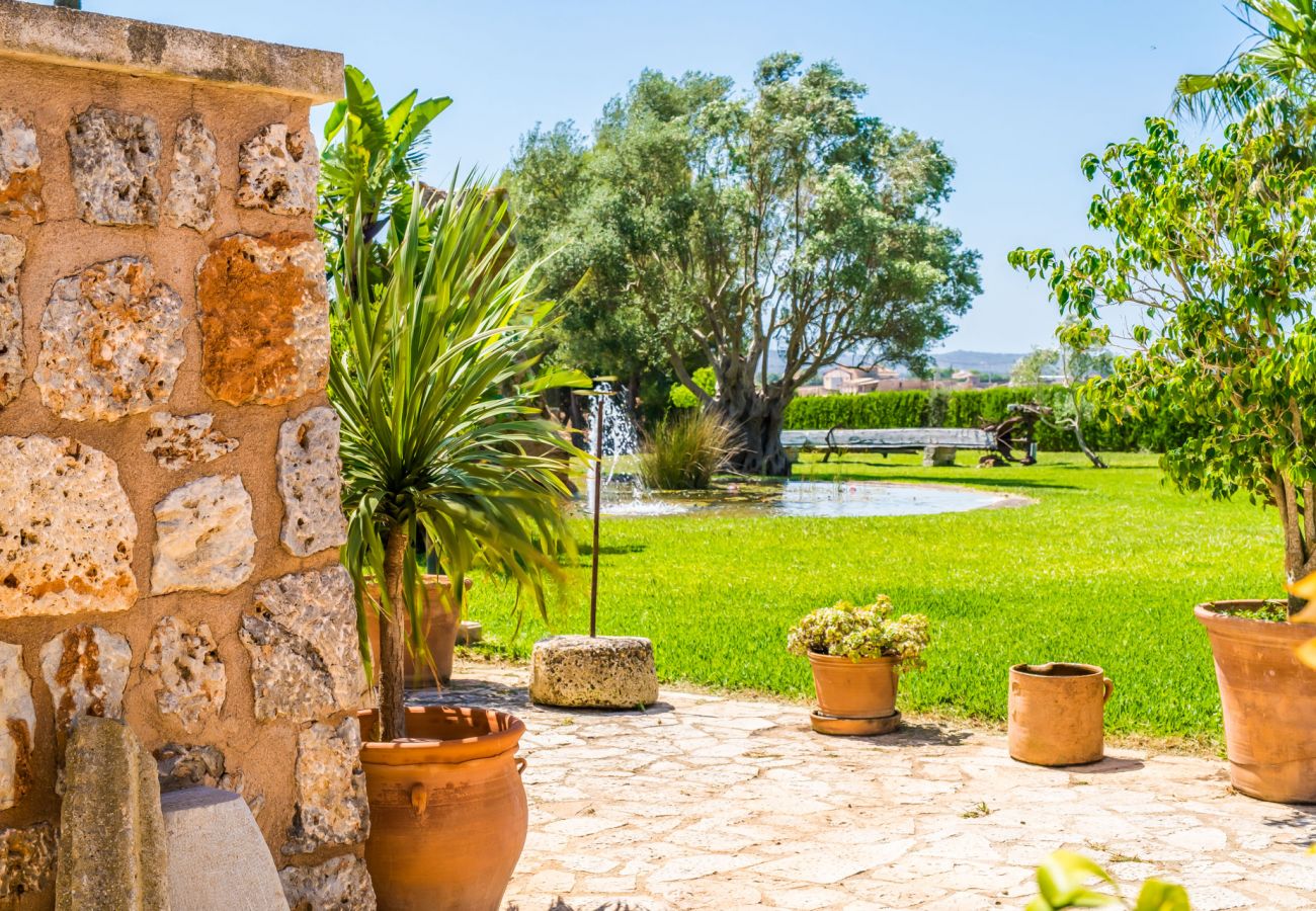 Maison à Sa Pobla - Finca rustique à Majorque Can Colis avec piscine