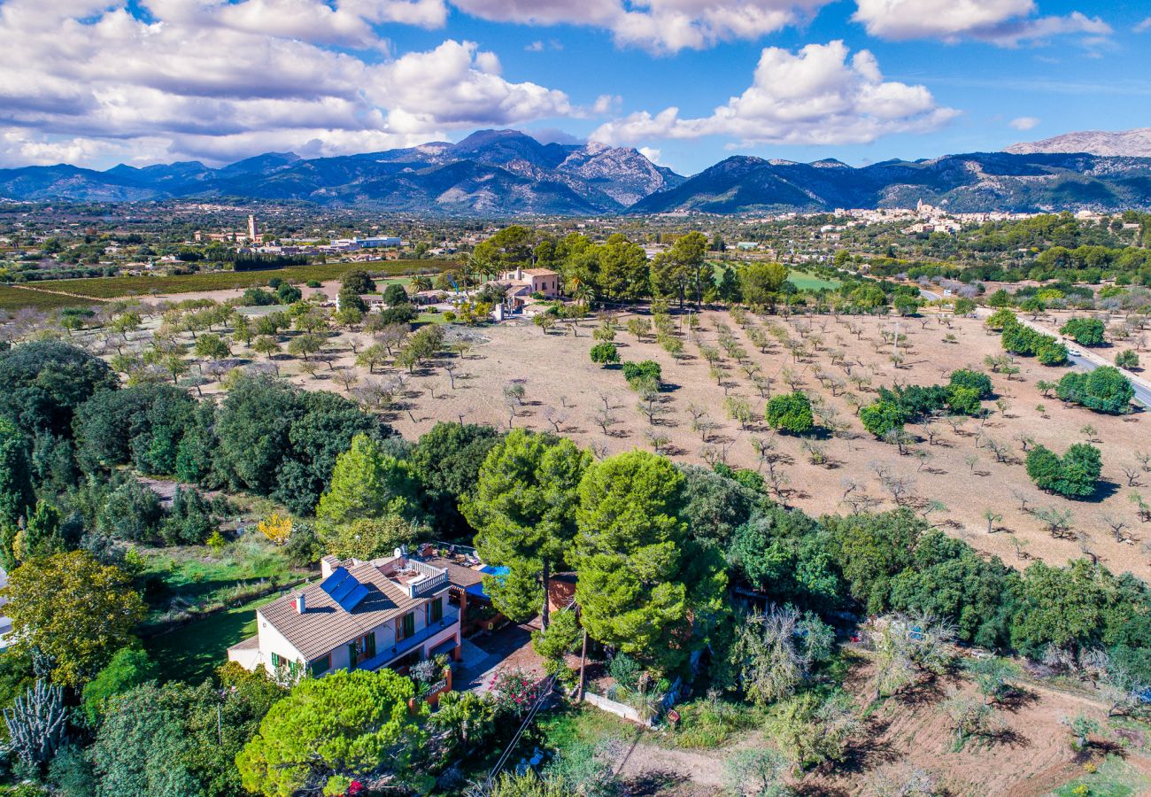 Domaine à Buger - Finca Es Puig Madona avec piscine à Majorque