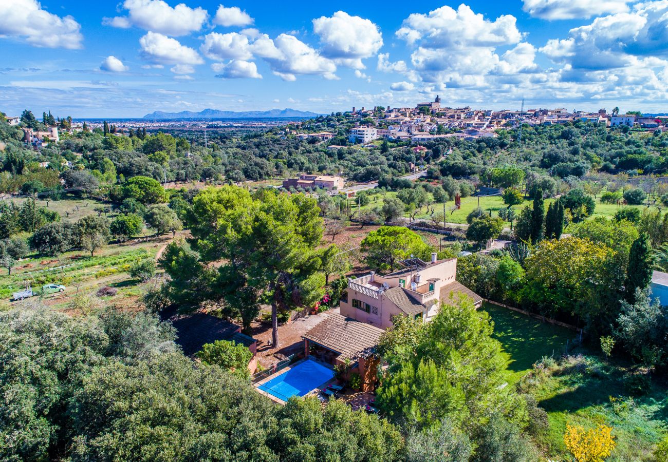 Finca de vacances à Majorque avec barbecue et piscine 