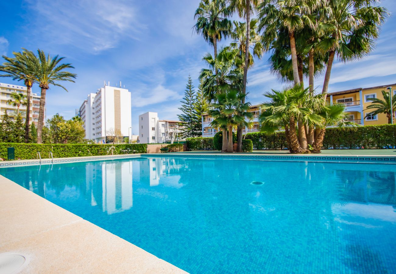 Appartement à Puerto de Alcudia - Appartement avec piscine Primavera à Puerto Alcudia.