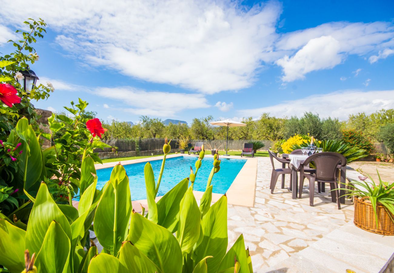 Finca avec piscine en pleine nature.