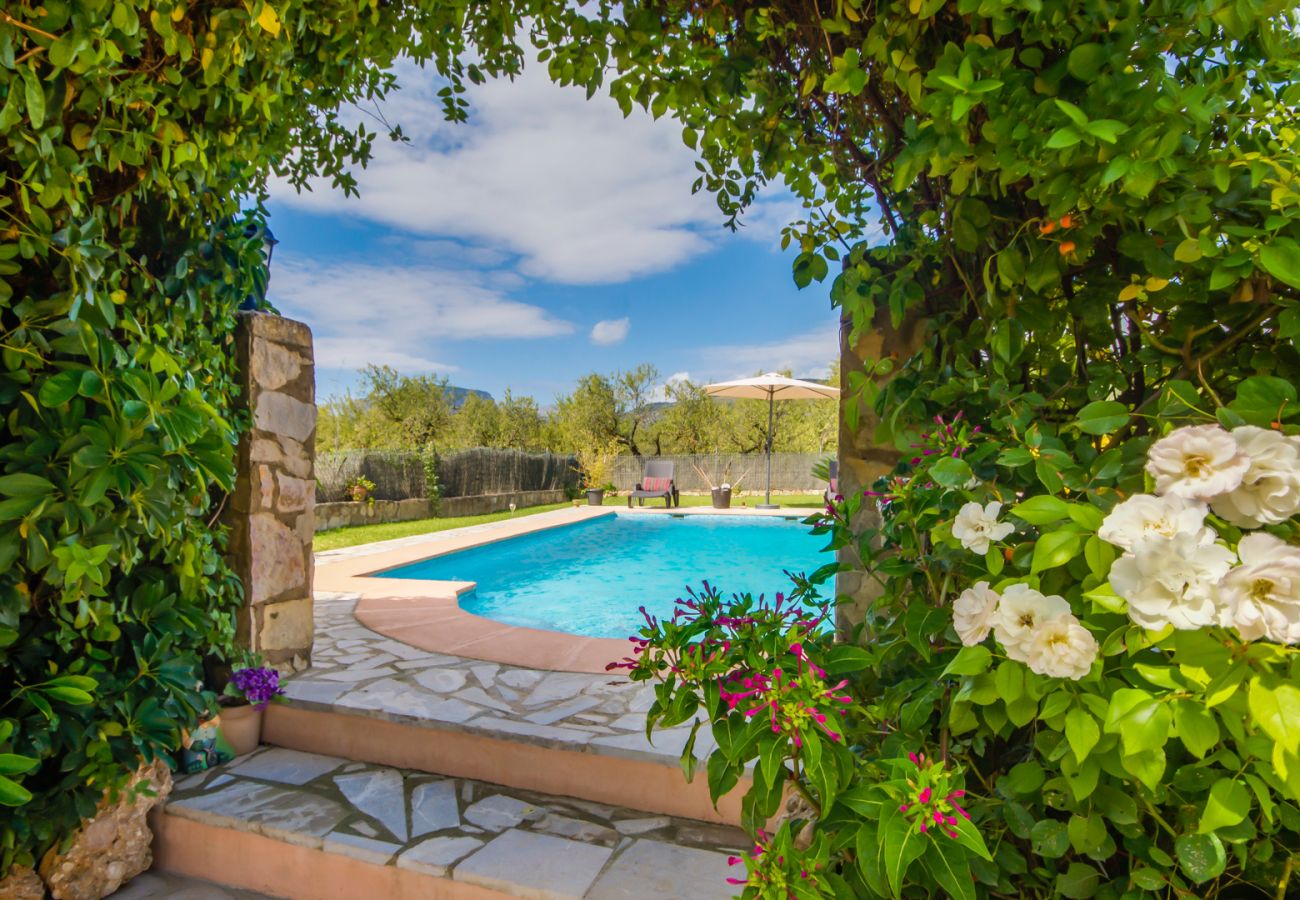 Vacances à Majorque dans une finca avec piscine.