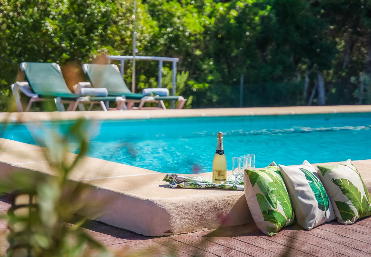 Domaine à Puerto Pollensa - Finca près de la mer Ses Rotes avec piscine à Pollensa