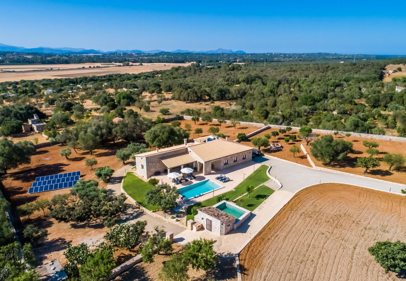 Domaine à Ariany - Finca Sa Canova Ariany avec piscine et maison dans les arbres à Majorque