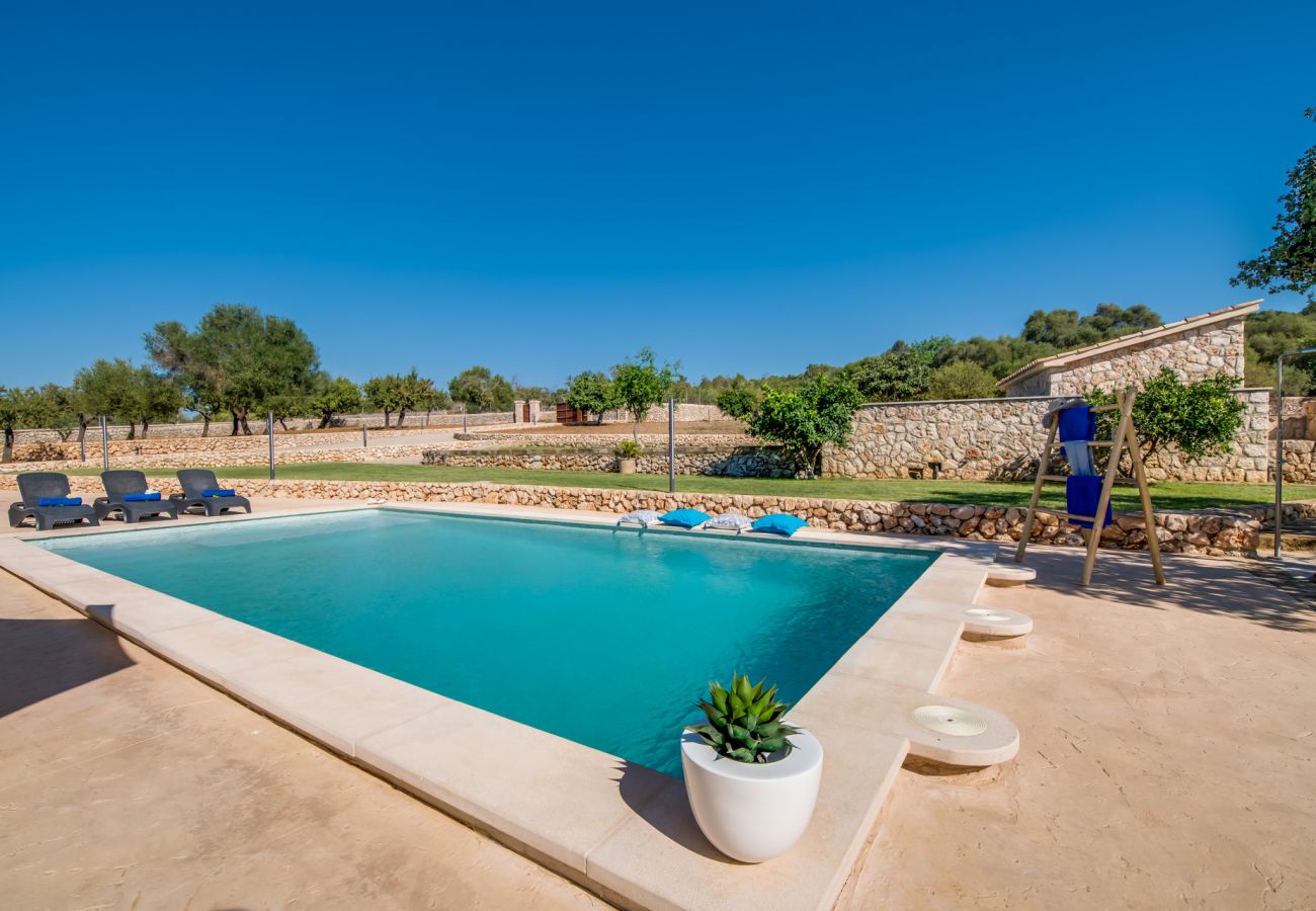 Domaine à Ariany - Finca Sa Canova Ariany avec piscine et maison dans les arbres à Majorque