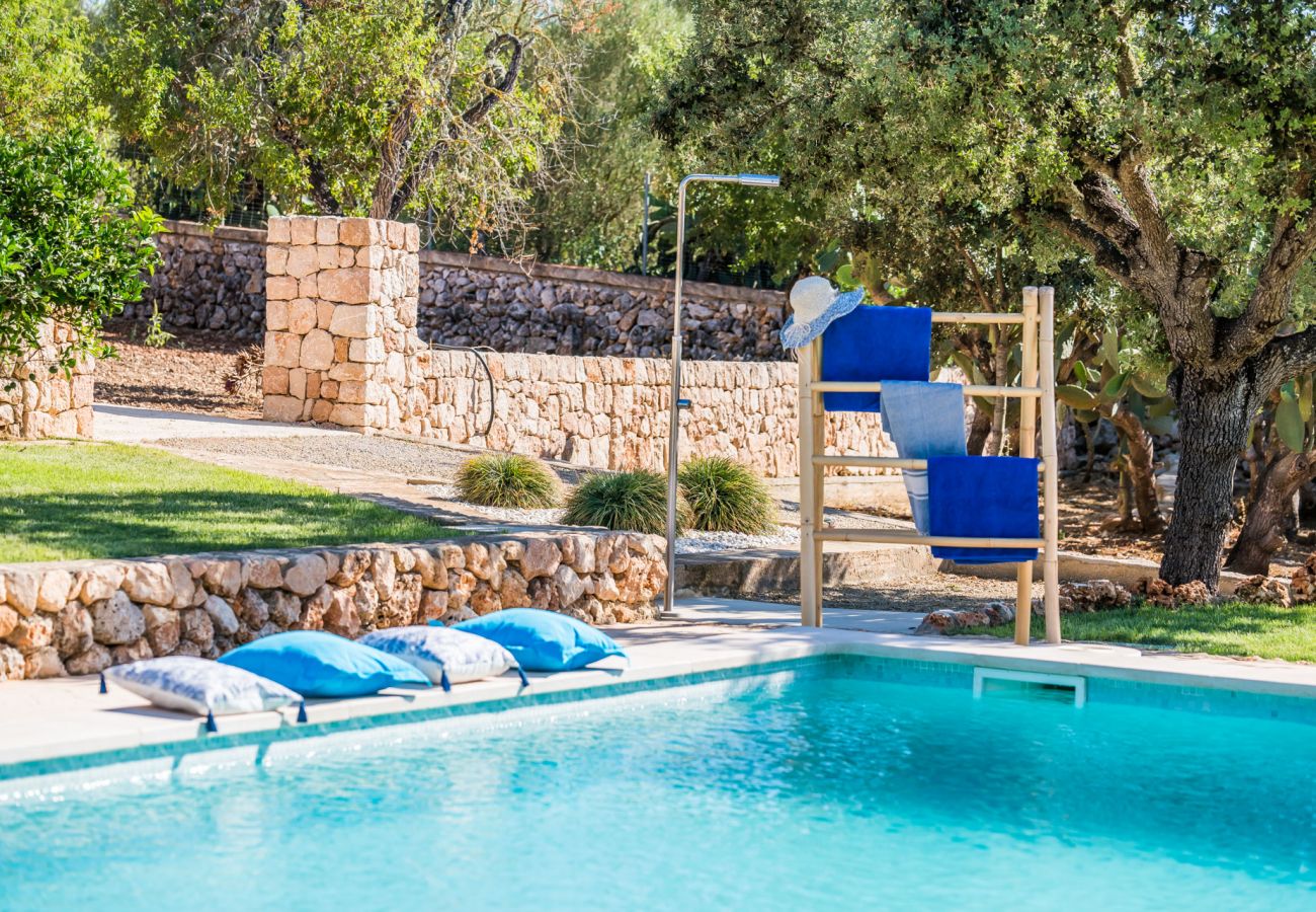 Domaine à Ariany - Finca Sa Canova Ariany avec piscine et maison dans les arbres à Majorque