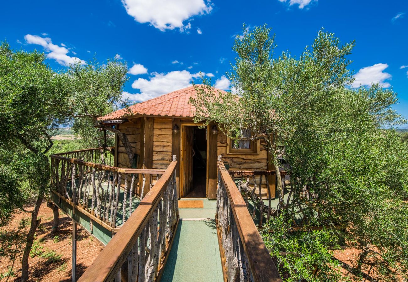 Finca rurale à Majorque avec piscine, barbecue et maison dans les arbres