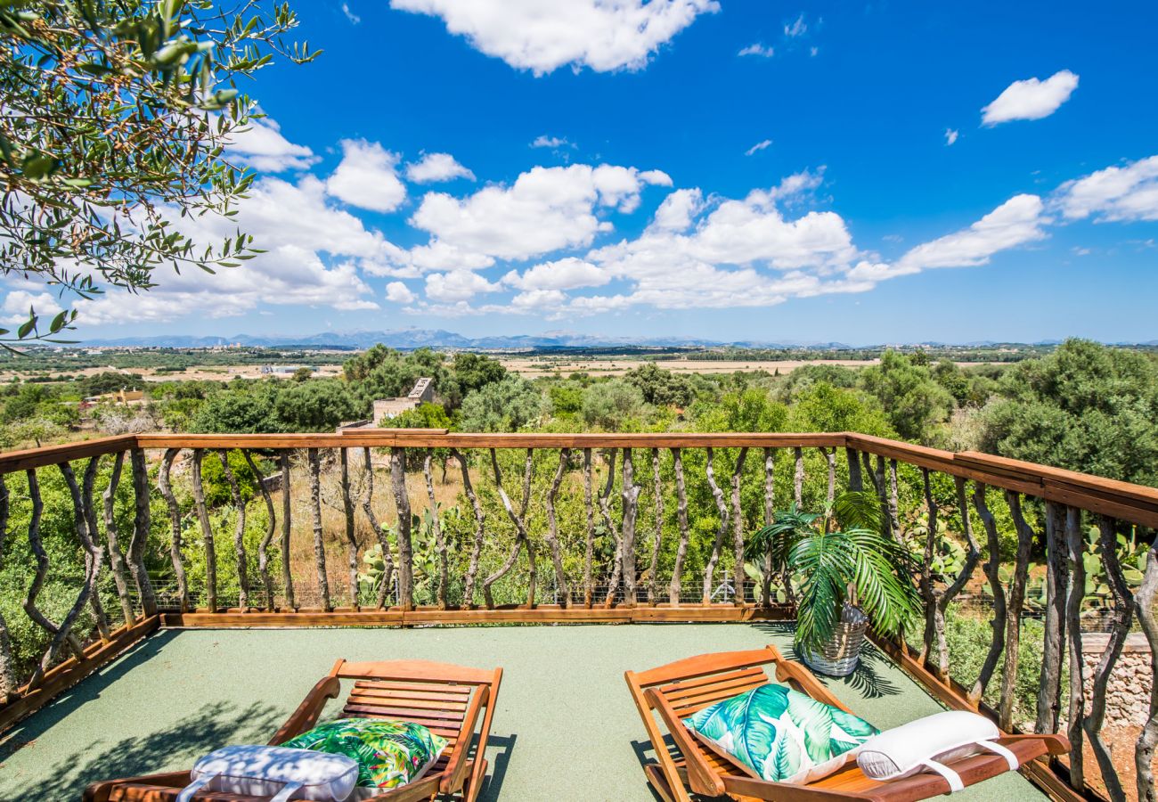 Domaine à Ariany - Finca Sa Canova Ariany avec piscine et maison dans les arbres à Majorque