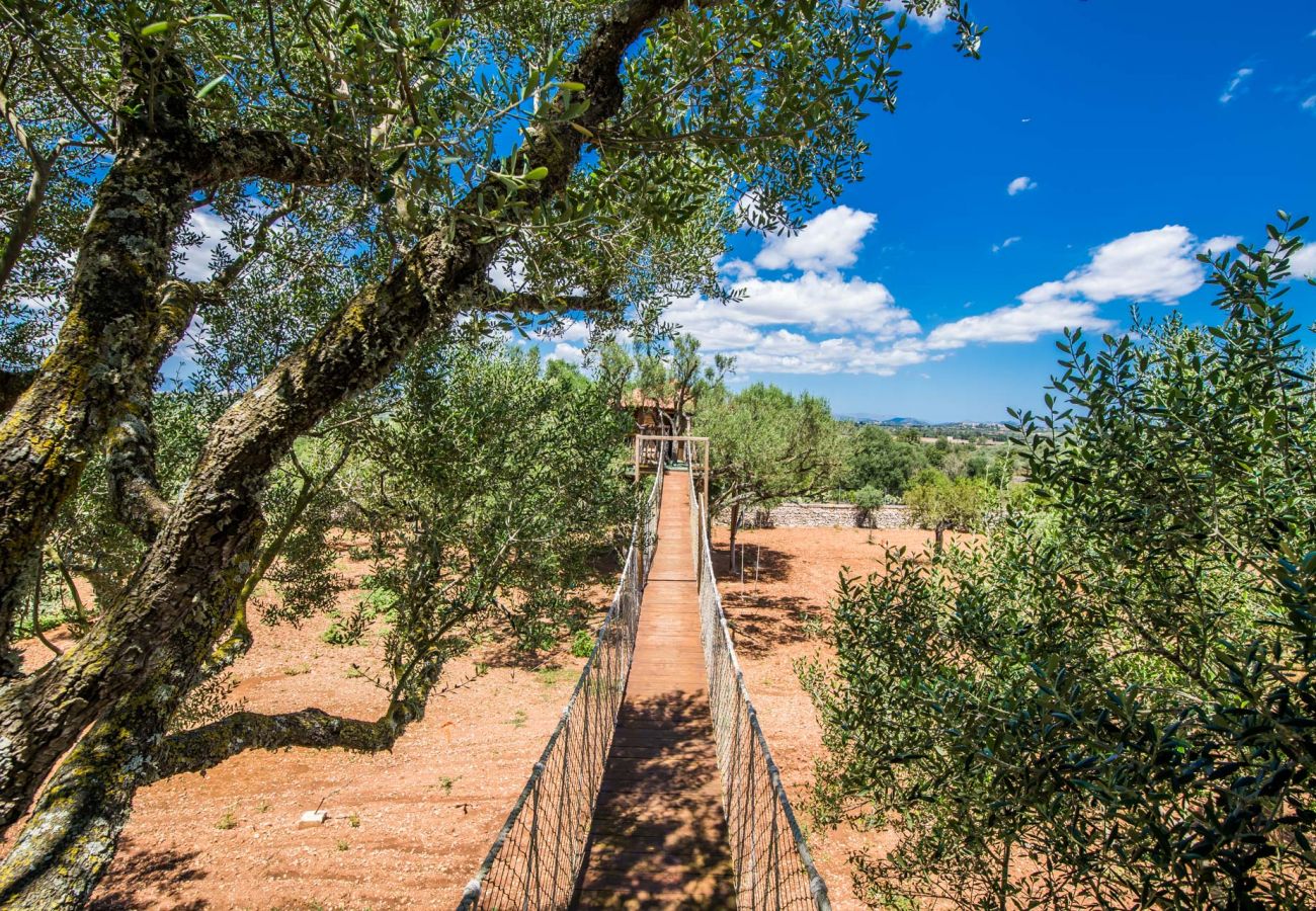 Domaine à Ariany - Finca Sa Canova Ariany avec piscine et maison dans les arbres à Majorque