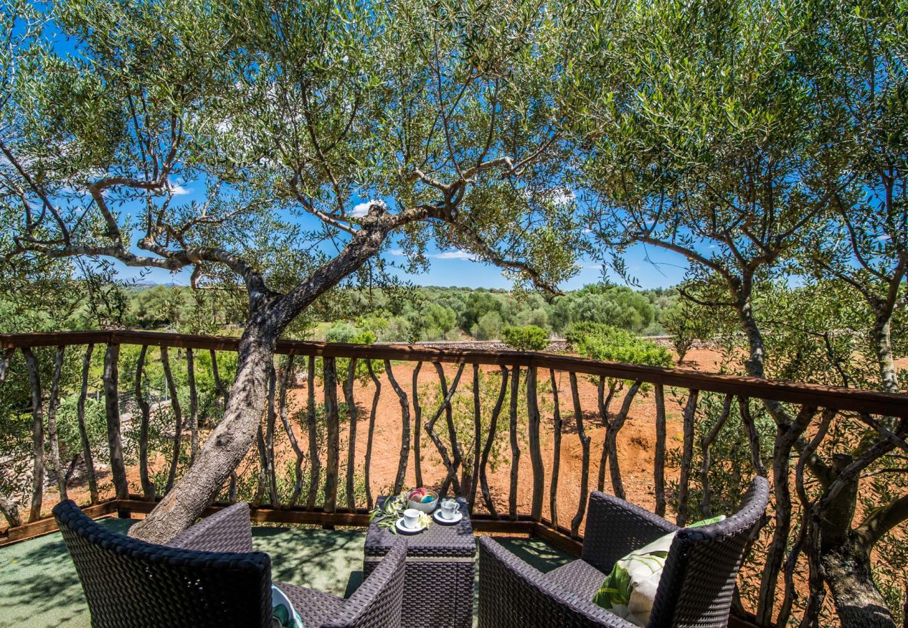 Domaine à Ariany - Finca Sa Canova Ariany avec piscine et maison dans les arbres à Majorque